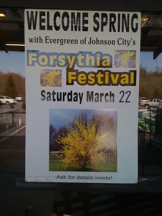 Expert residential landscaping in Johnson City, TN - Evergreen of Johnson City