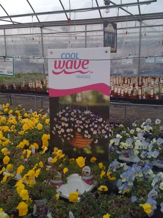 Professional residential landscaping for residential properties in Johnson City, TN by Evergreen of Johnson City