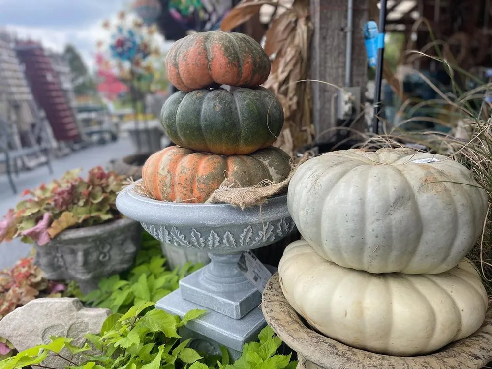 Top-rated yard cleanup service near you in Johnson City, TN by Evergreen of Johnson City