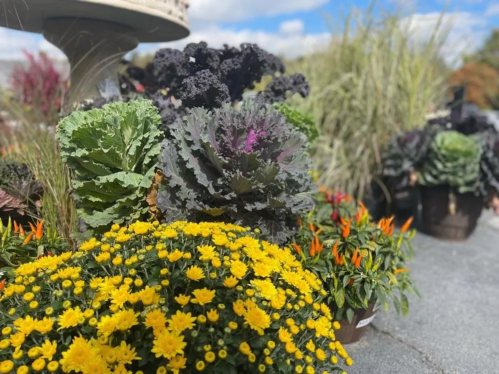 Local landscape design for beautiful yards in Johnson City, TN by Evergreen of Johnson City