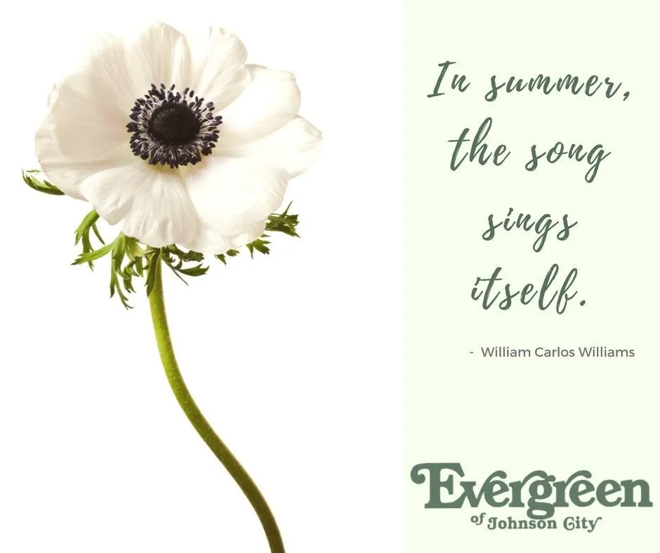 Top-rated landscape design in Johnson City, TN by Evergreen of Johnson City