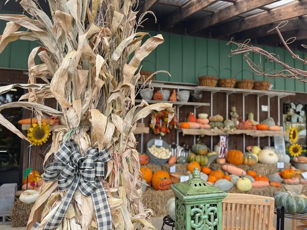 Custom landscaping services for residential properties in Johnson City, TN by Evergreen of Johnson City