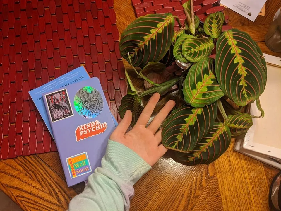 Expert lawn mowing service in Johnson City, TN by Evergreen of Johnson City