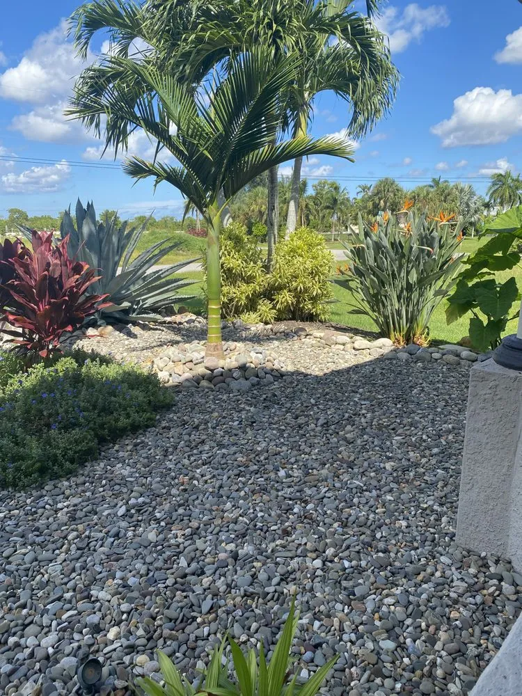 Top-rated landscaping services in Cape Coral, FL - Evergreen Outdoor Services