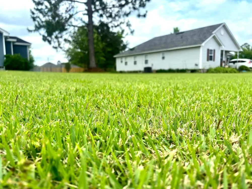 Affordable yard maintenance with custom design across Hahira, GA - Evergreen Outdoor Services