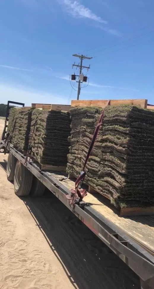 Top-rated lawn care service for residential properties across Hahira, GA - Evergreen Outdoor Services