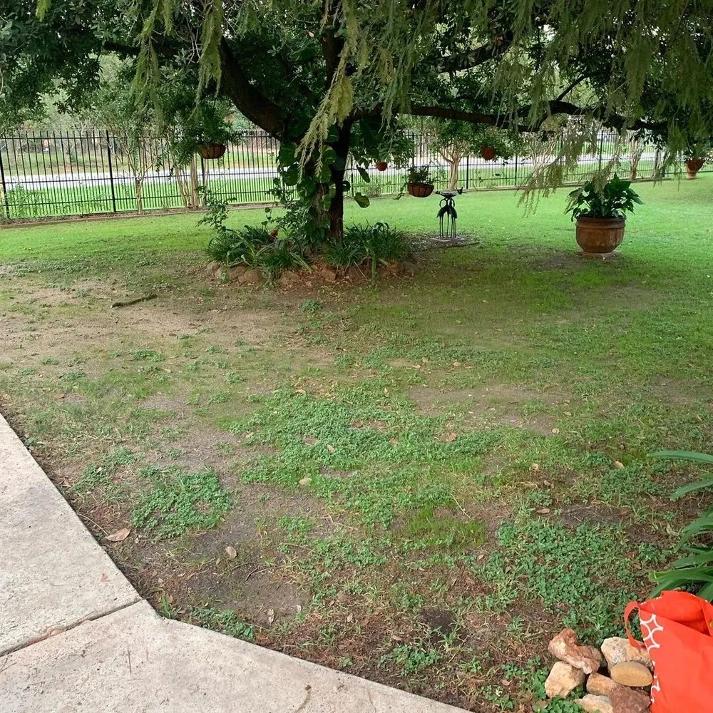 Custom landscape installation in Houston, TX - Evergreen Outdoor Services