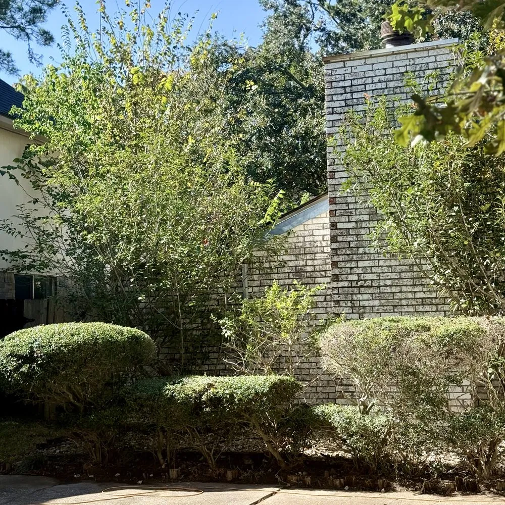 Reliable outdoor landscaping in Houston, TX by Evergreen Outdoor Services