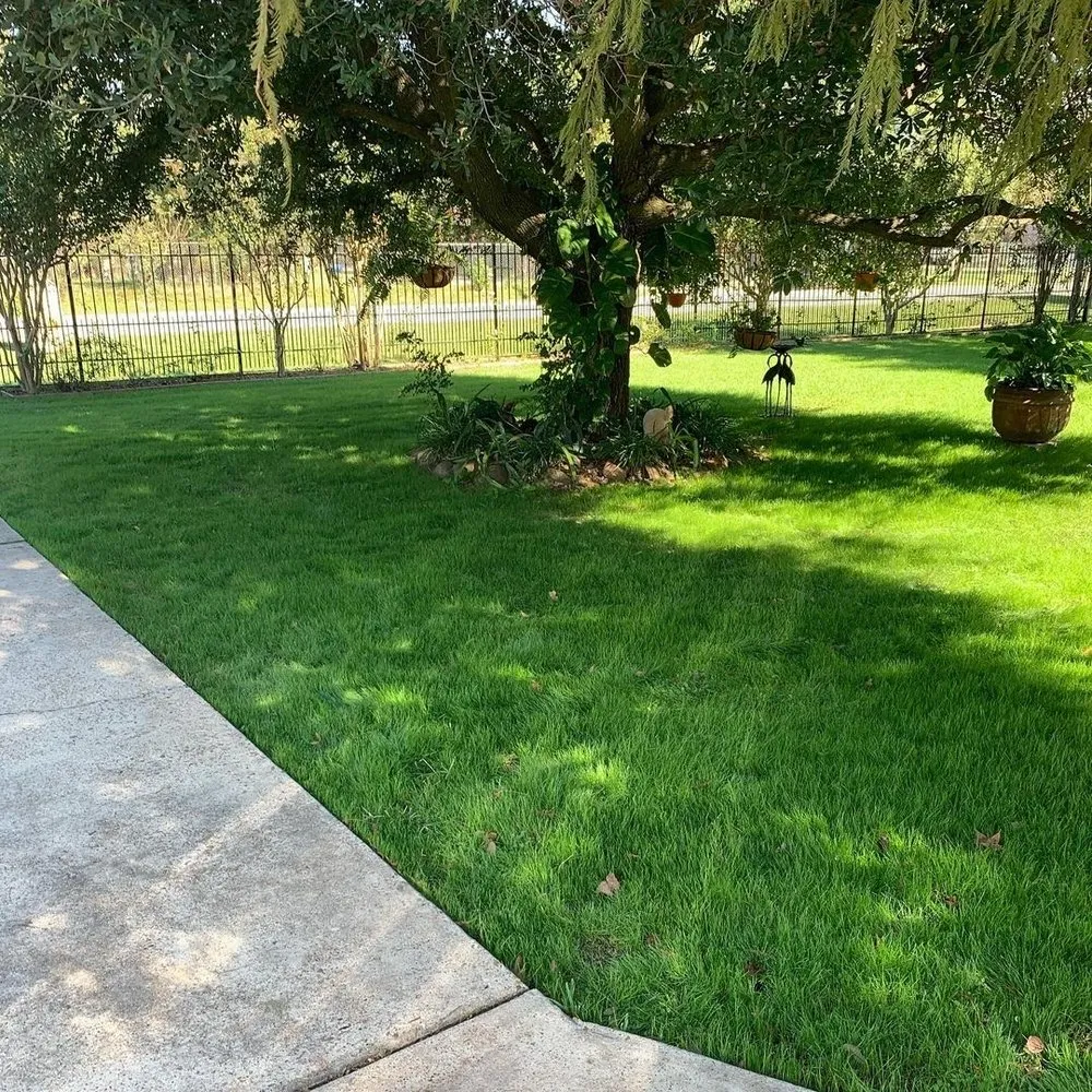 Affordable lawn mowing service experts serving Houston, TX - Evergreen Outdoor Services