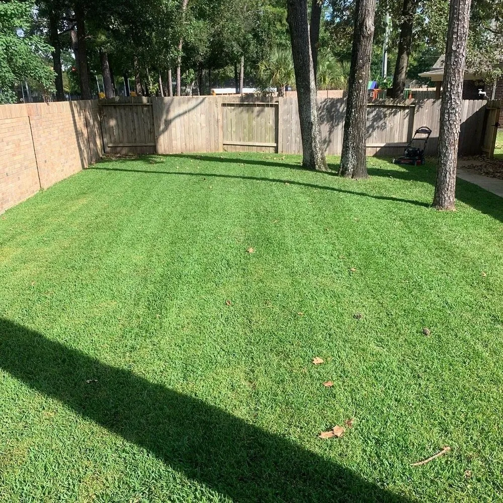 Professional landscape installation in Houston, TX - Evergreen Outdoor Services