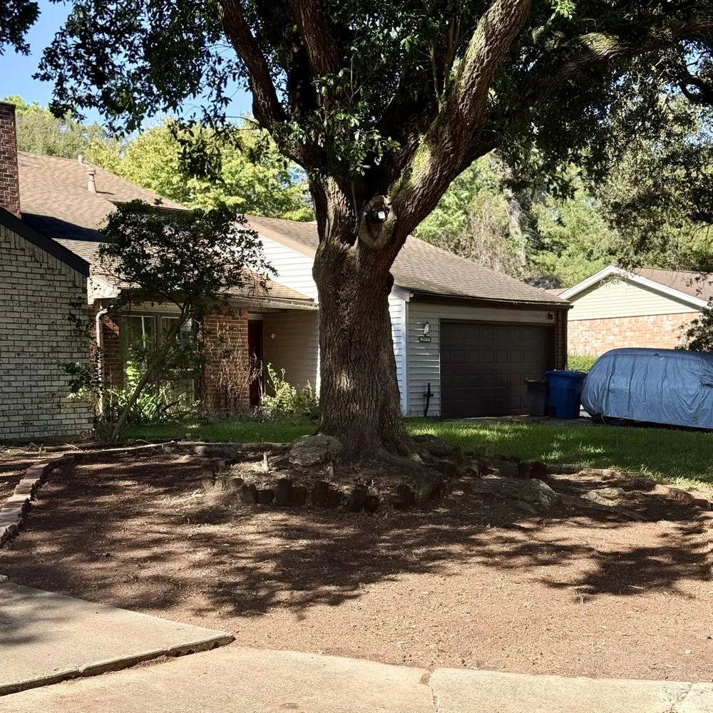 Expert yard cleanup service with custom design in Houston, TX by Evergreen Outdoor Services