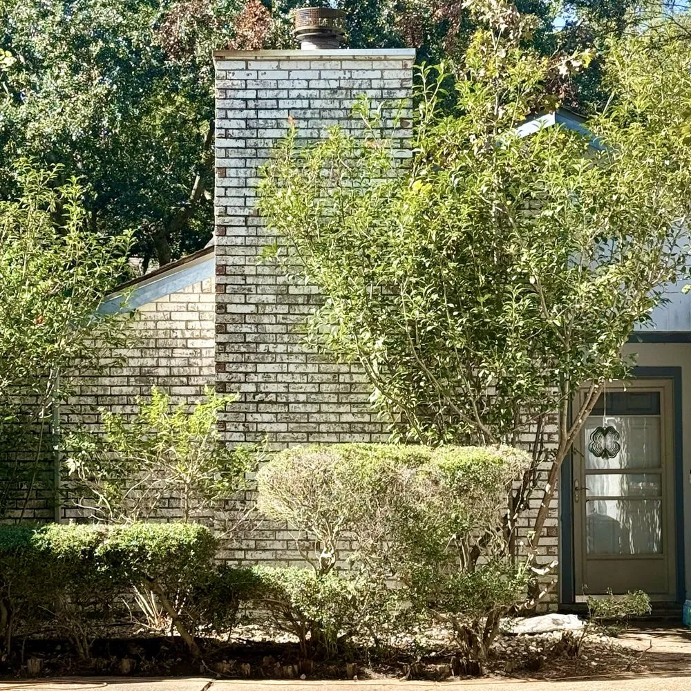 Professional residential landscaping experts serving Houston, TX - Evergreen Outdoor Services