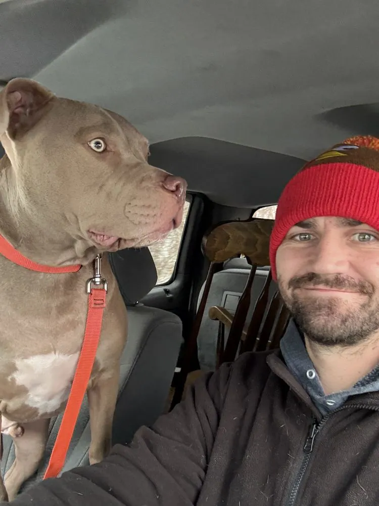 Expert landscape design for year-round maintenance across Manchester, NH - Evergreen Outdoor Solutions