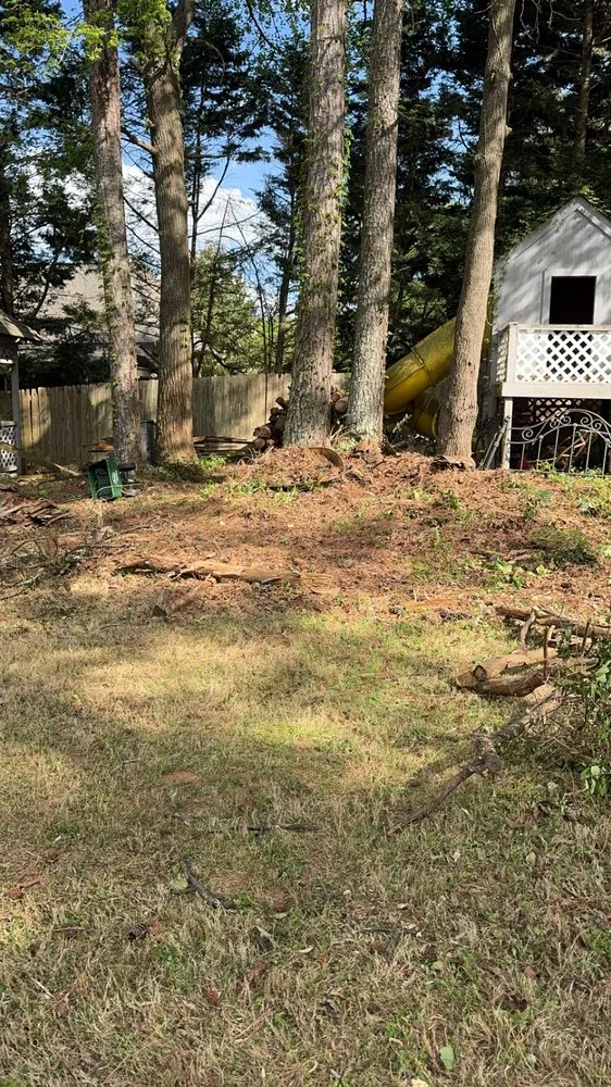 Custom yard cleanup service in Monroe, GA by Evergreen Outdoor Solutions