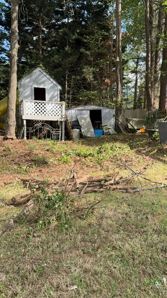 Professional yard cleanup service experts serving Monroe, GA - Evergreen Outdoor Solutions