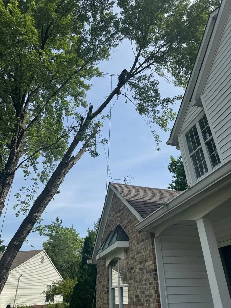 Expert yard maintenance near you in Fishers, IN by Evergreen Outdoor Tree Service & Landscape