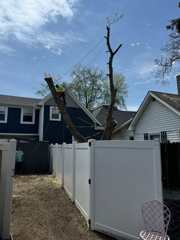 Expert outdoor landscaping with custom design in Fishers, IN by Evergreen Outdoor Tree Service & Landscape