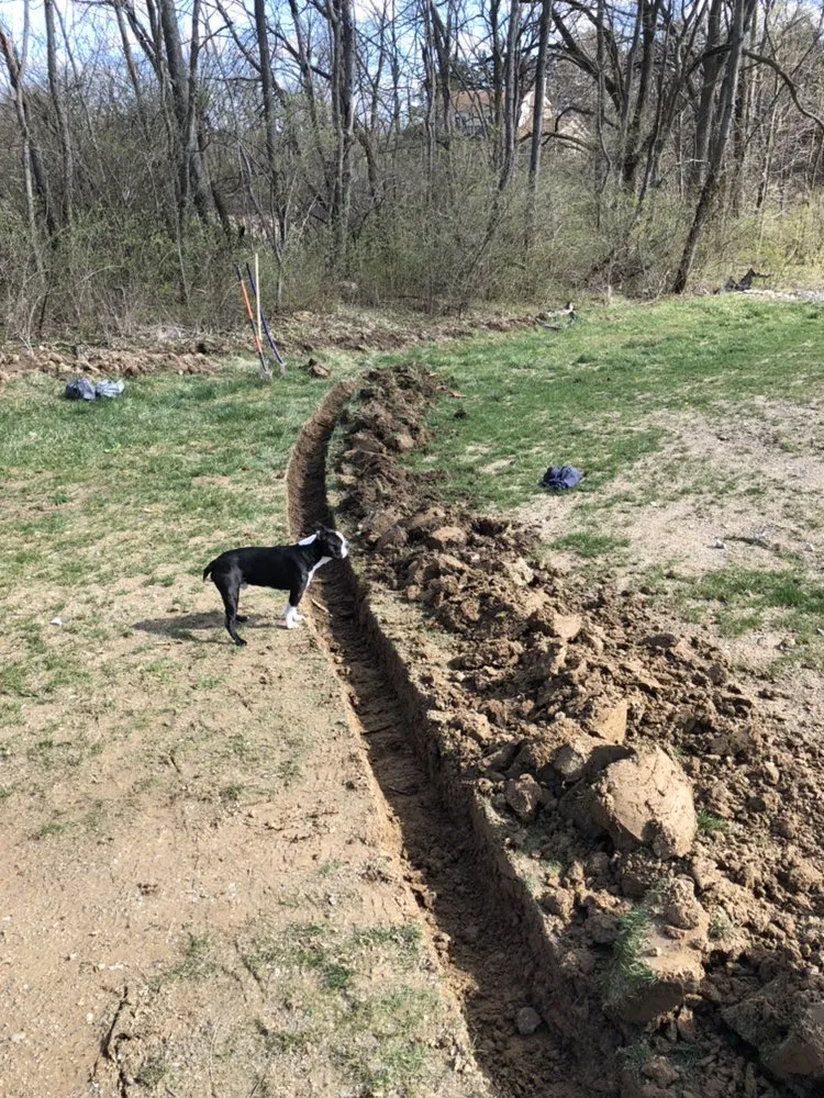 Trusted residential landscaping in Fishers, IN - Evergreen Outdoor Tree Service & Landscape