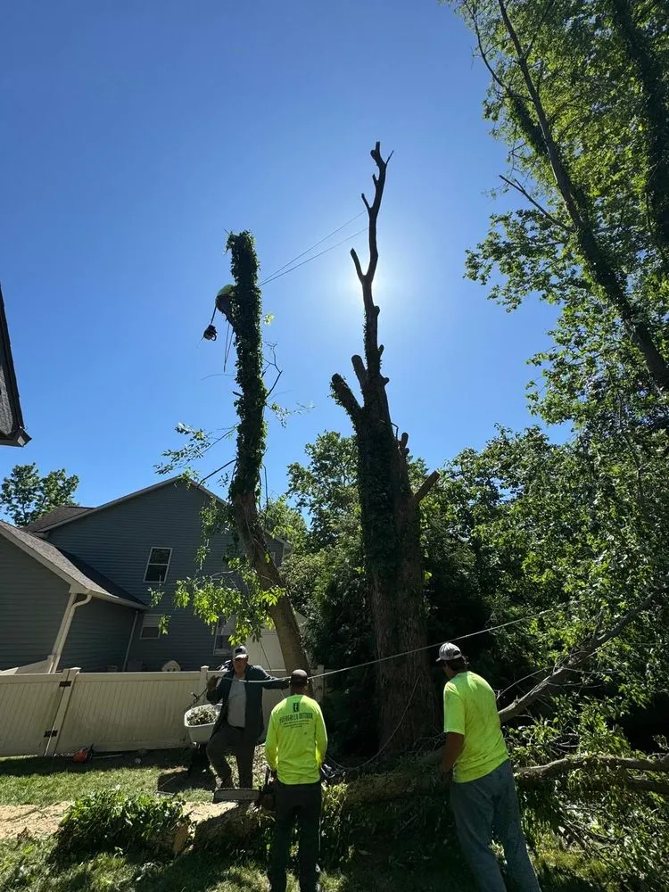 Professional yard maintenance with custom design across Fishers, IN - Evergreen Outdoor Tree Service & Landscape