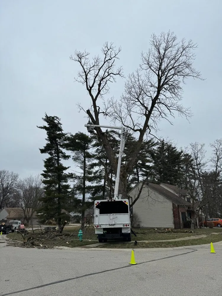 Expert landscaping services for outdoor upgrades in Fishers, IN by Evergreen Outdoor Tree Service & Landscape