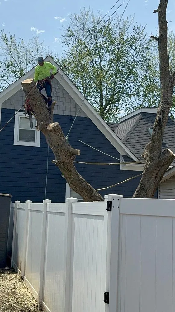 Local lawn care service in Fishers, IN by Evergreen Outdoor Tree Service & Landscape