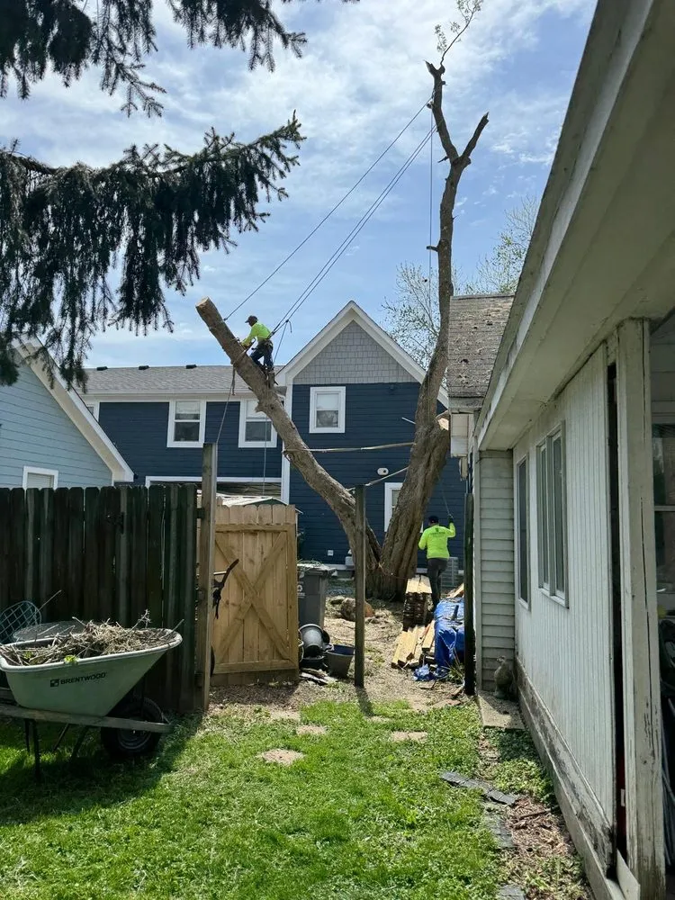 Trusted outdoor landscaping with custom design in Fishers, IN by Evergreen Outdoor Tree Service & Landscape
