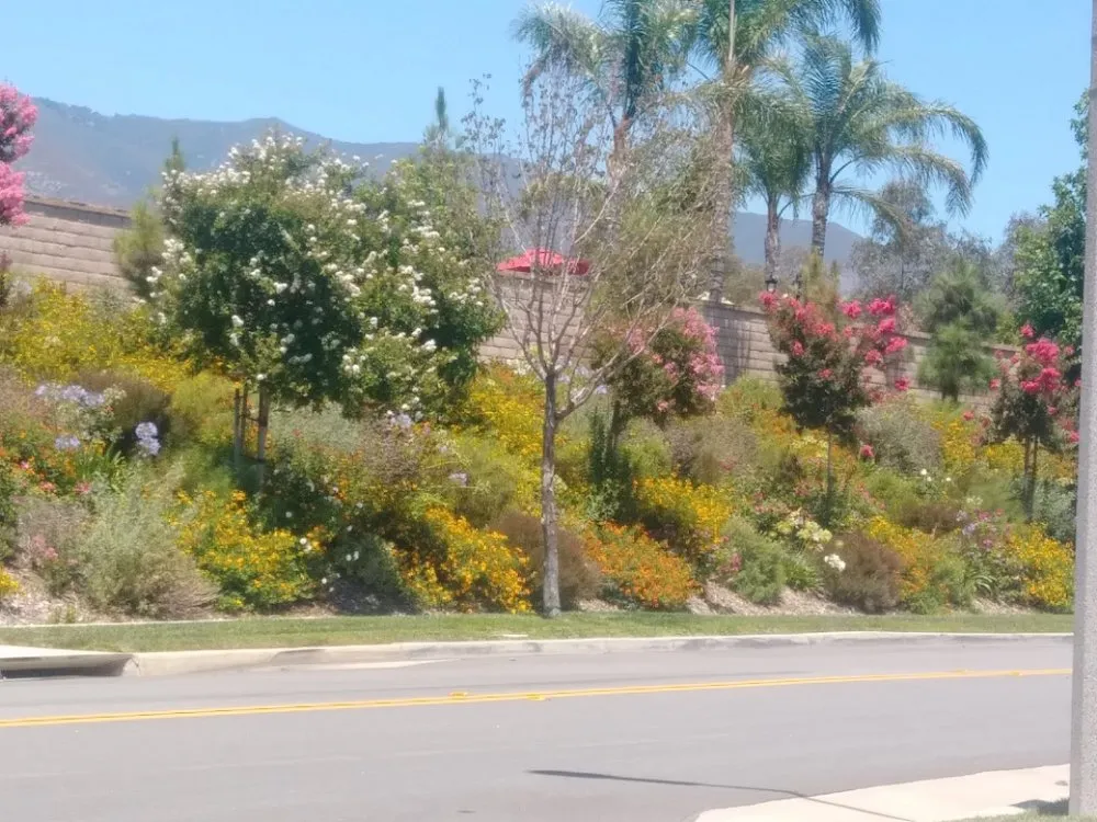 Expert lawn care service for year-round maintenance across Pomona, CA - Evergreen