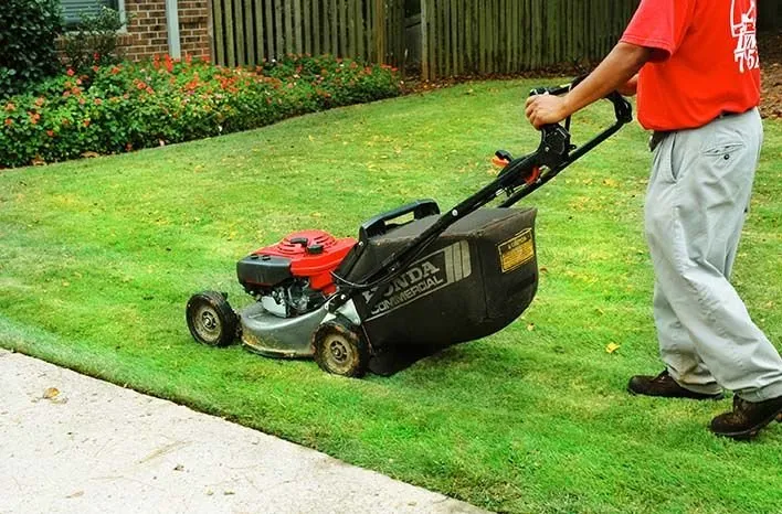 Expert residential landscaping near you across Pomona, CA - Evergreen