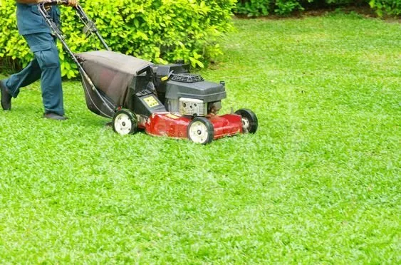 Expert yard maintenance for beautiful yards across Pomona, CA - Evergreen