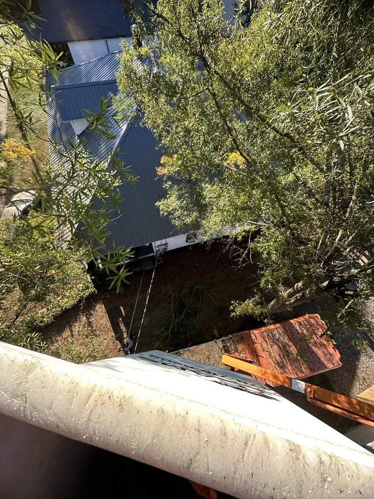 Local lawn care service near you across Bessemer City, NC - Evergreen Precision