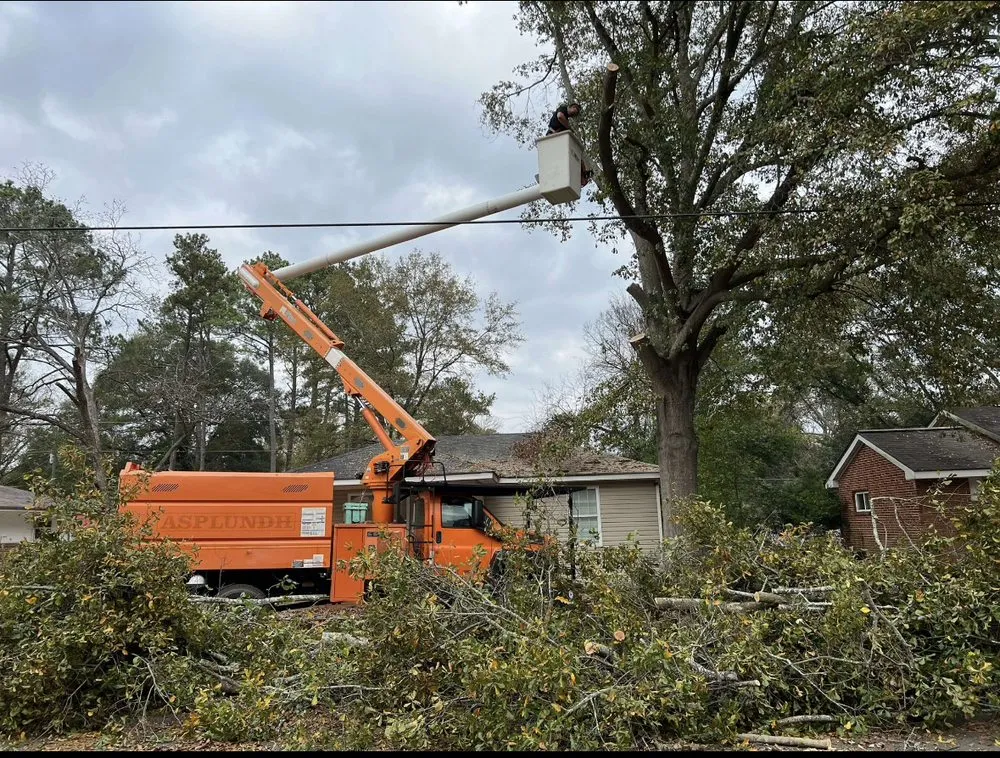 Reliable yard cleanup service with custom design in Bessemer City, NC by Evergreen Precision