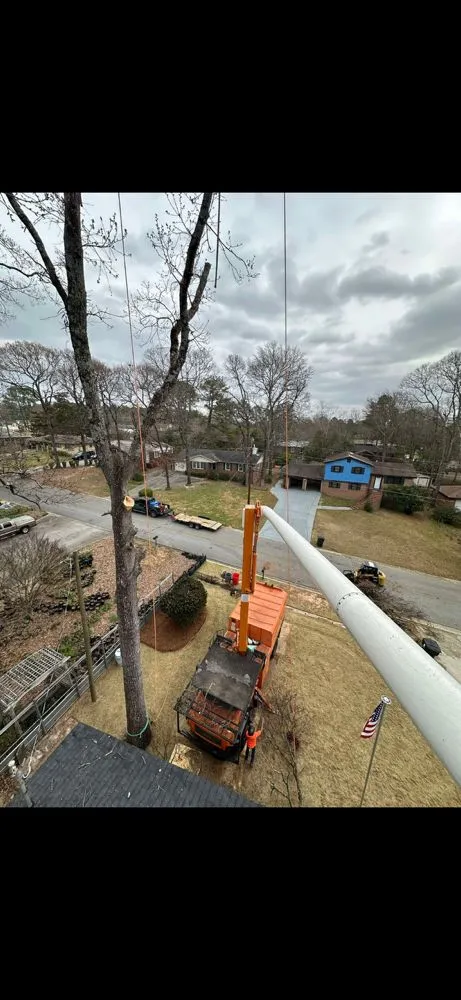 Local lawn mowing service for year-round maintenance in Bessemer City, NC by Evergreen Precision