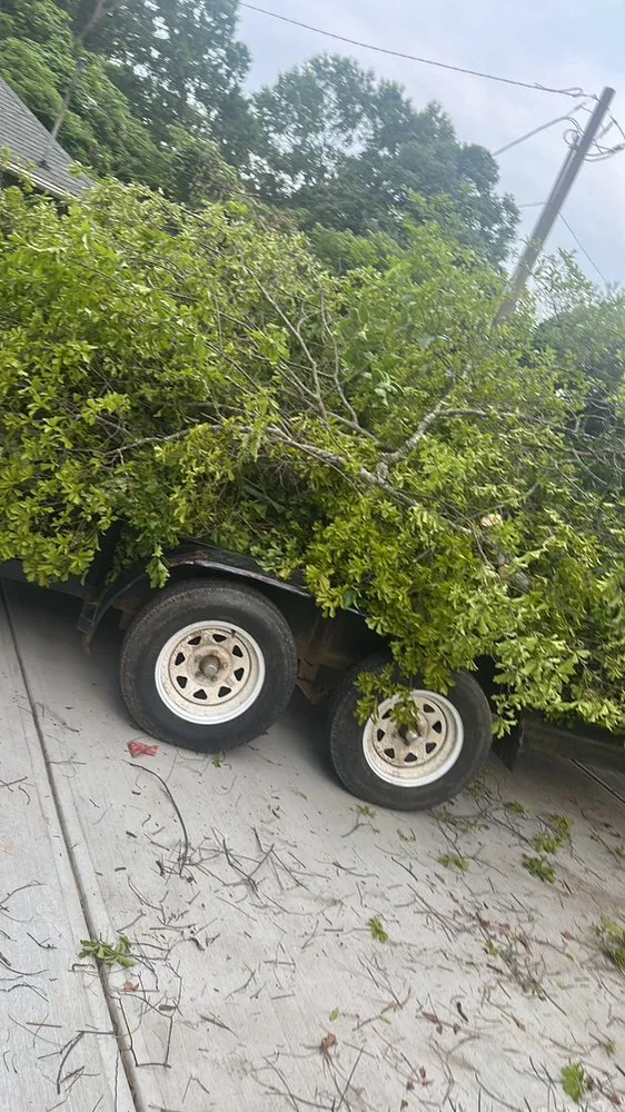 Local outdoor landscaping in Bessemer City, NC - Evergreen Precision