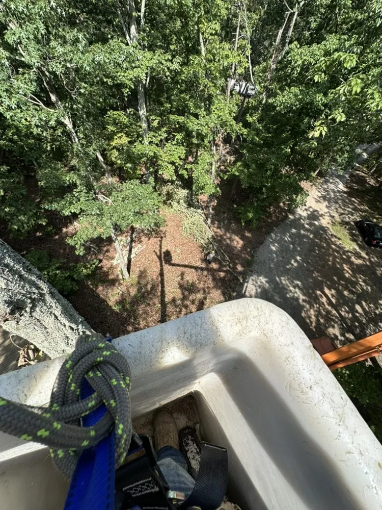 Reliable outdoor landscaping experts serving Bessemer City, NC - Evergreen Precision