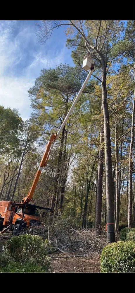 Reliable lawn mowing service for homes across Bessemer City, NC - Evergreen Precision