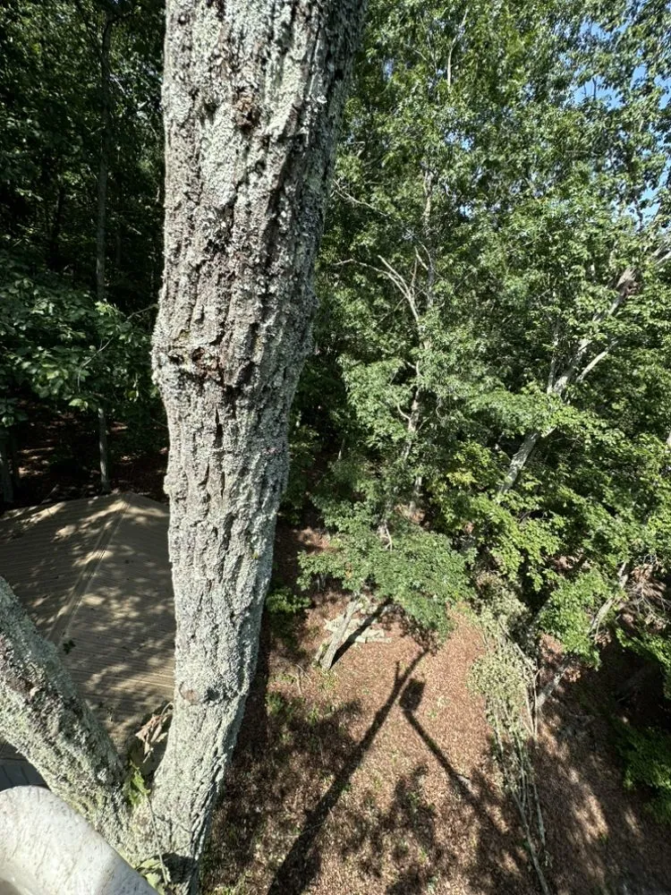 Professional lawn mowing service experts serving Bessemer City, NC - Evergreen Precision