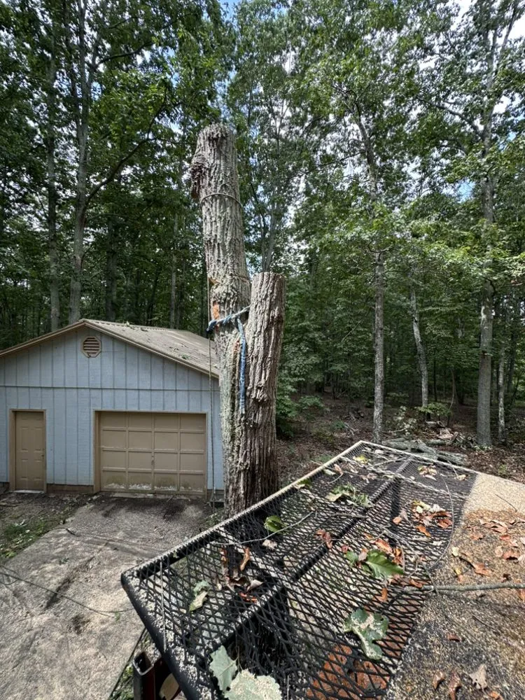 Expert landscaping services experts serving Bessemer City, NC - Evergreen Precision