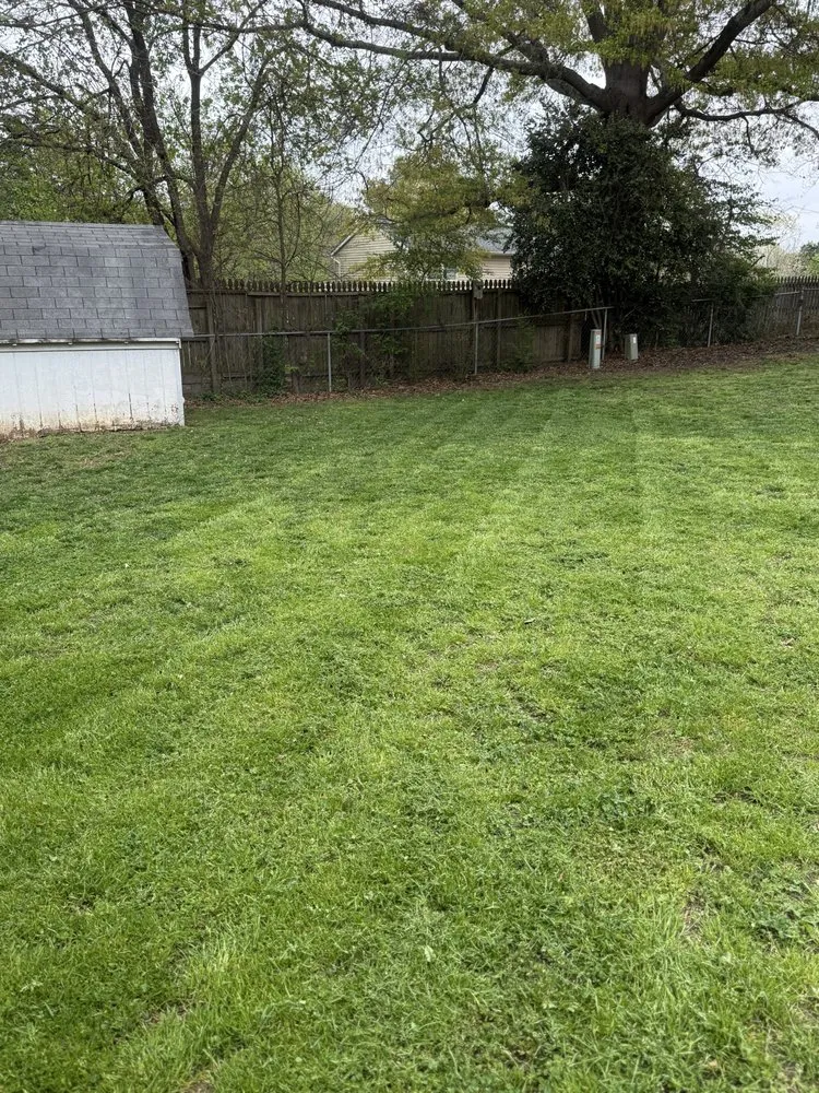 Top-rated yard cleanup service for residential properties across Charlotte, NC - Evergreen Premier lawns