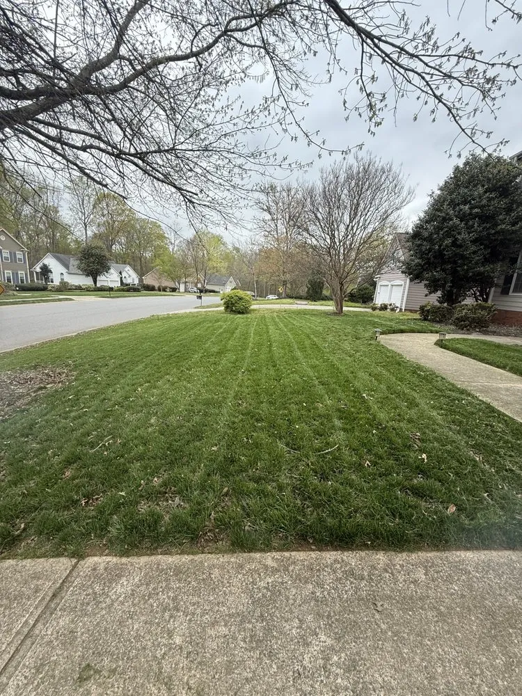 Reliable lawn mowing service for residential properties across Charlotte, NC - Evergreen Premier lawns