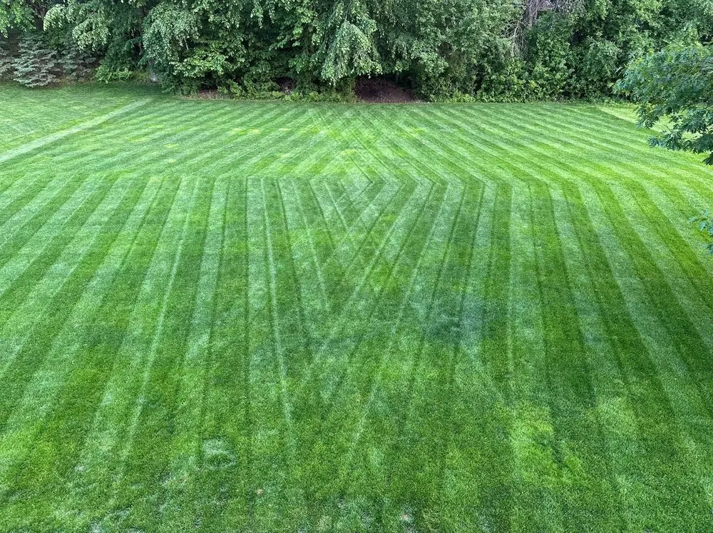 Expert landscape installation in Tacoma, WA - Evergreen Pro Landscaping