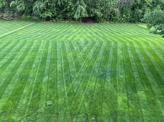 Evergreen Pro Landscaping Logo