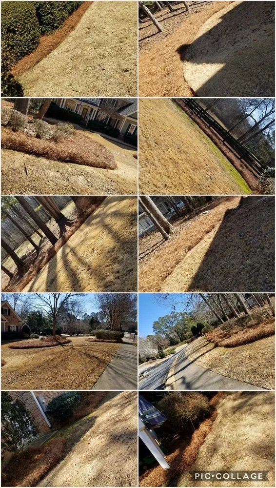 Trusted landscaping services in Ball Ground, GA by Evergreen Property Care