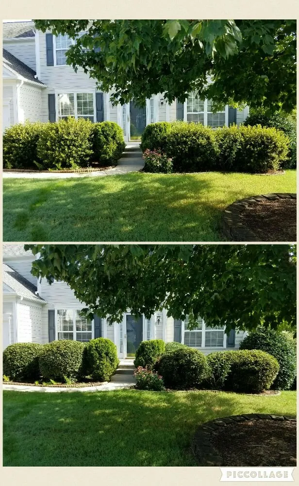 Reliable lawn care service for residential properties in Ball Ground, GA by Evergreen Property Care