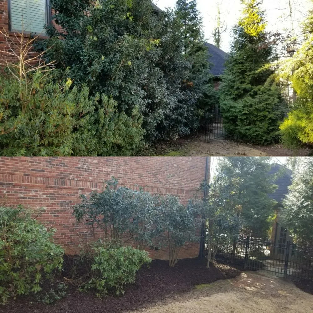 Trusted yard maintenance experts serving Ball Ground, GA - Evergreen Property Care