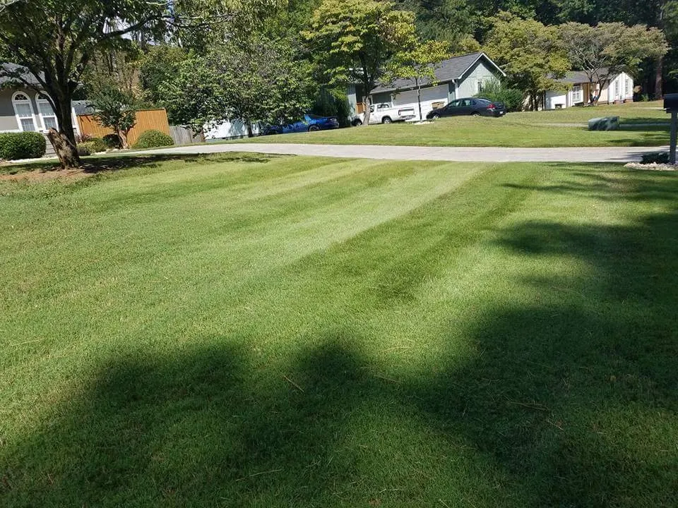 Custom yard cleanup service in Ball Ground, GA - Evergreen Property Care