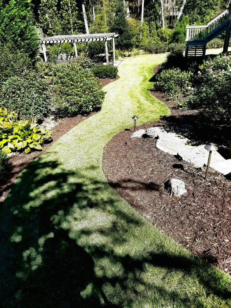 Local residential landscaping for residential properties across Ball Ground, GA - Evergreen Property Care