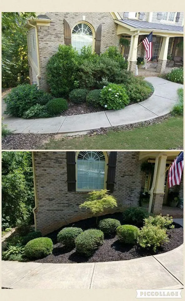 Local lawn care service experts serving Ball Ground, GA - Evergreen Property Care