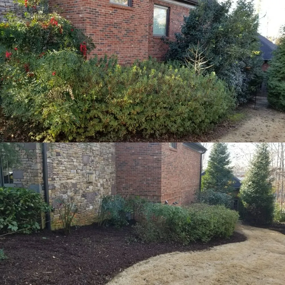 Expert lawn mowing service near you across Ball Ground, GA - Evergreen Property Care