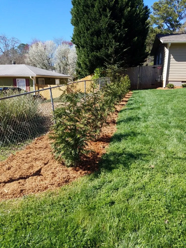 Professional yard cleanup service in Ball Ground, GA by Evergreen Property Care