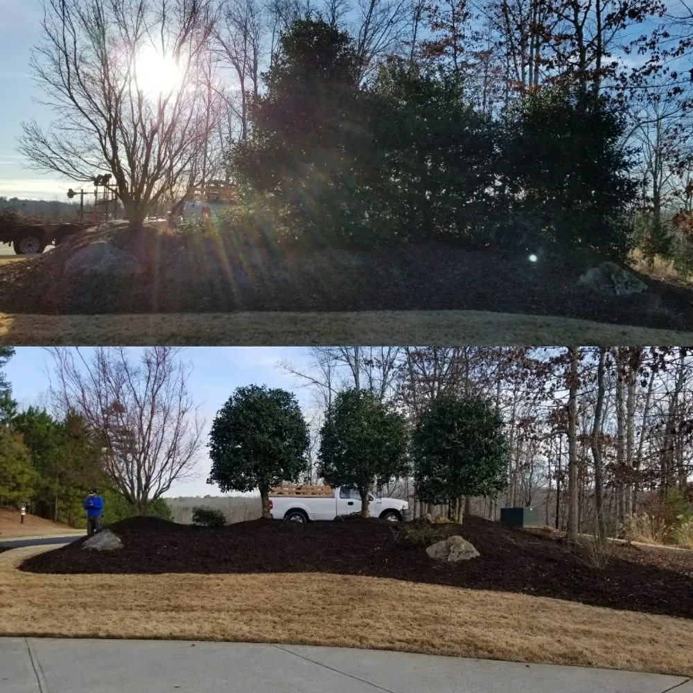 Professional yard cleanup service with custom design across Ball Ground, GA - Evergreen Property Care